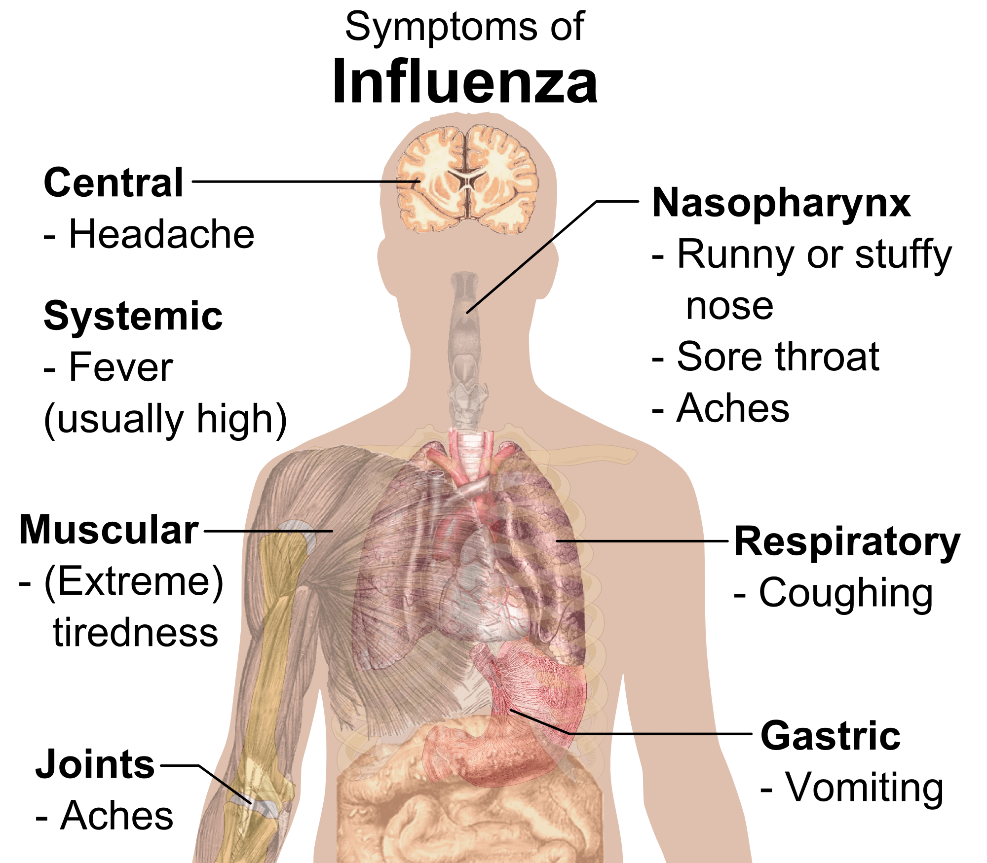 Flu Shots Save Kid&#39;s Lives